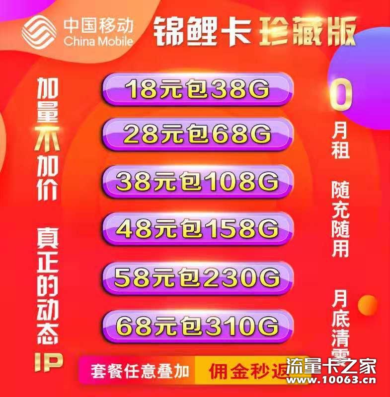 全网最好政策最好