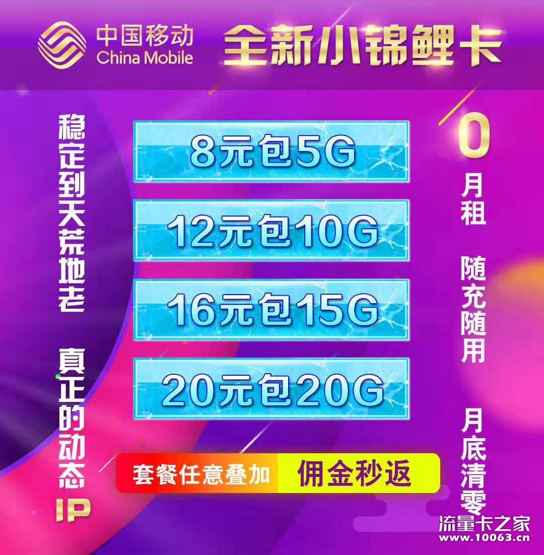 小象动态IP
