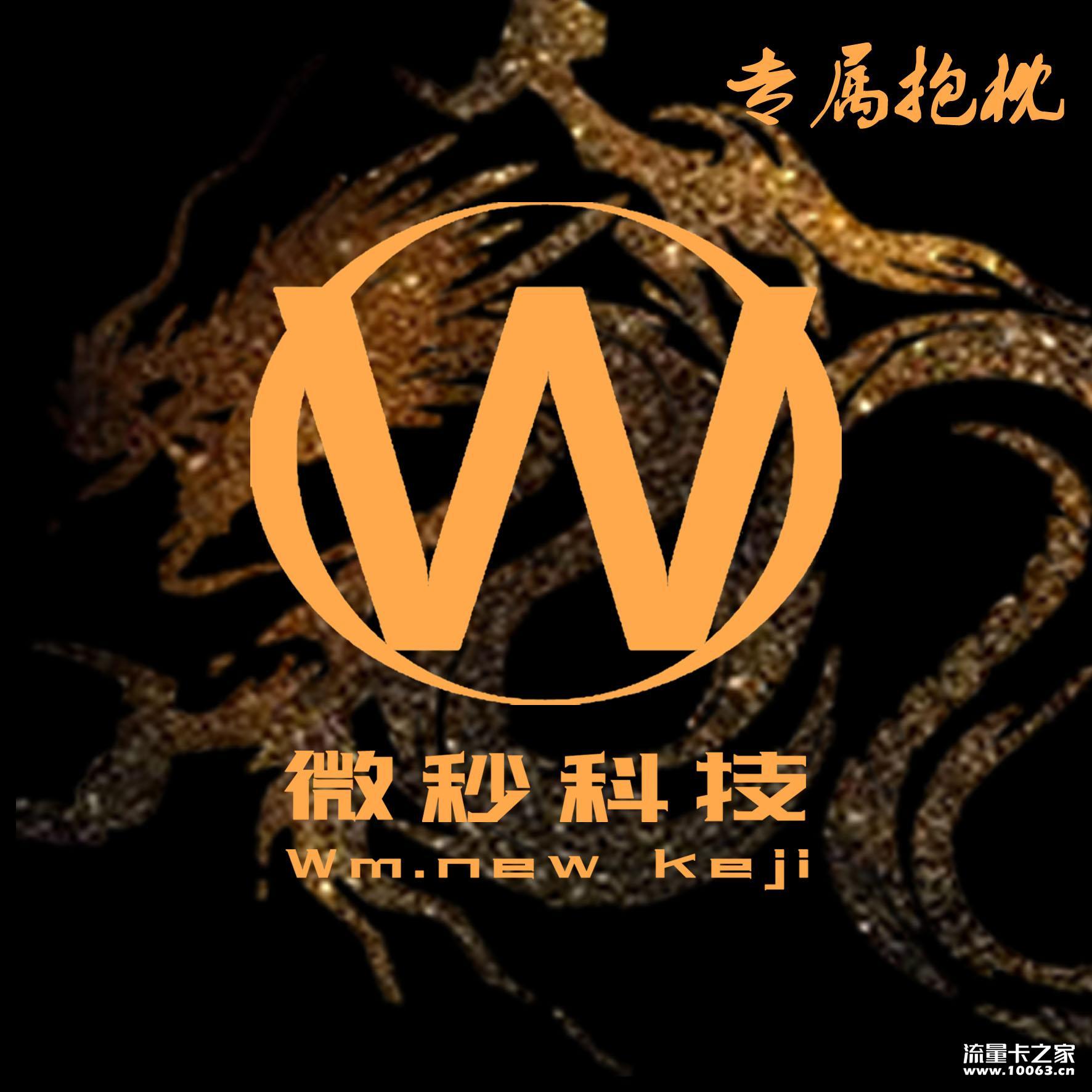 微秒智联官方直招