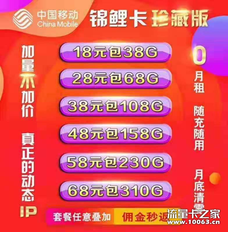 全网最高政策【小象公司】【一手货源】