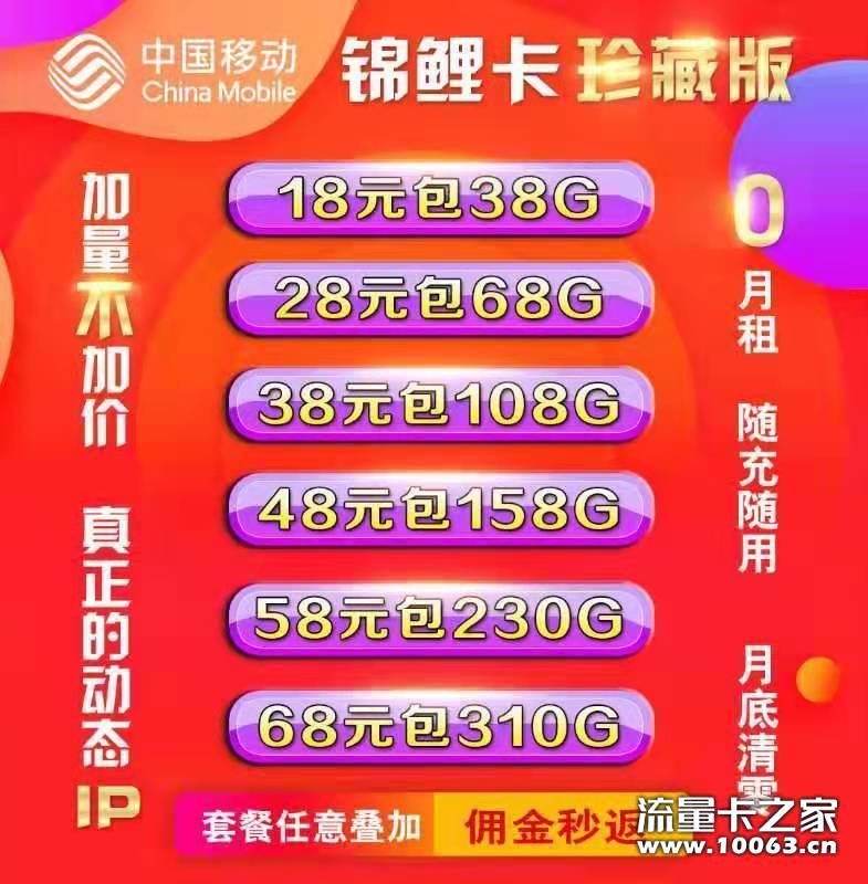 小象全国动态