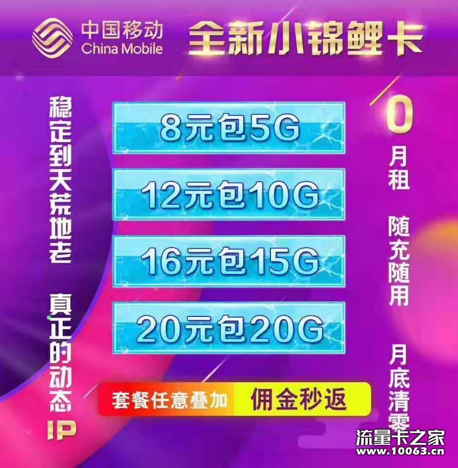 IP全国跳，工作室必备